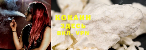 мдпв Богданович