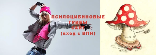 прущая мука Богородск