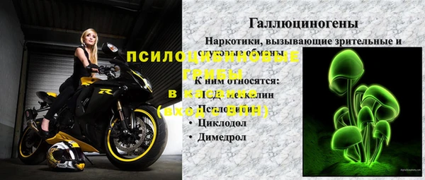 молекула духа Кукмор