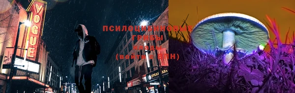 прущая мука Богородск
