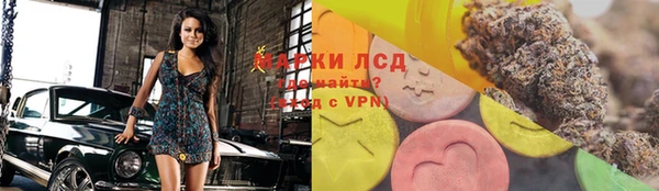 мдпв Богданович