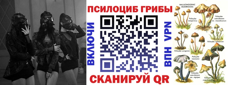 Псилоцибиновые грибы GOLDEN TEACHER  гидра зеркало  Духовщина  наркотики 